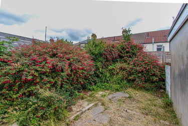4 bed house, Daniel Street, Cathays, Cardiff, CF244NY - Image 12